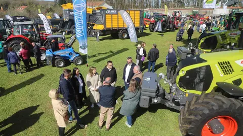 El titular del Medio Rural en funciones asistió esta mañana a la segunda jornada de Magreco, en el ayuntamiento coruñés de Boimorto, donde abrió la subasta de xovencas de las razas rubia gallega y frisona.