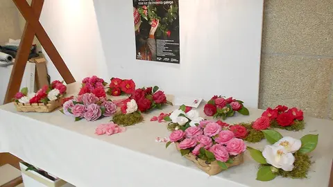 Exposición de la Camelia.
