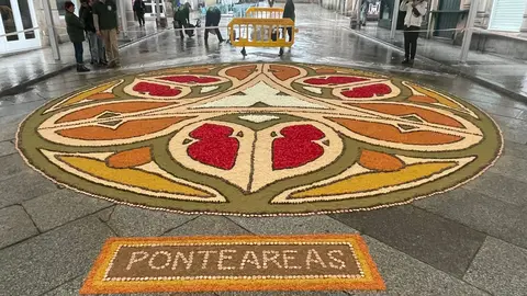 Promocionan en la fiesta de los Maios de Ourense, la fiesta del Corpus de Ponteareas realizando una alfombra con elementos típicos de los maios.