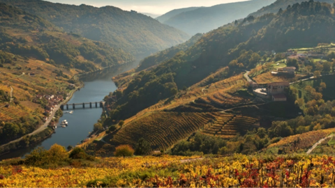 Paisaxes da Ribeira Sacra.