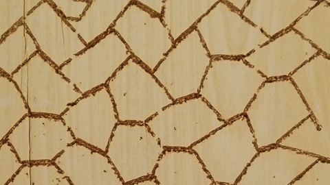 "Recorriendo la ciudad, encuentro estas puertas y quiero saber qué hay en su interior, necesito desvelar ese espacio oculto", dice Ignacio Pérez-Jofre.