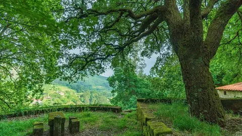 Mesa dos Quatro Abades.