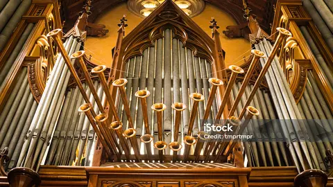 Órgano.
