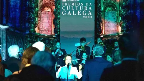 Os galardóns recoñecen o labor creativo e a expansión a novos espazos nos ámbitos das Letras, Artes Visuais, Artes Escénicas, Música, Audiovisual, Lingua, Patrimonio Cultural e Proxección Exterior.