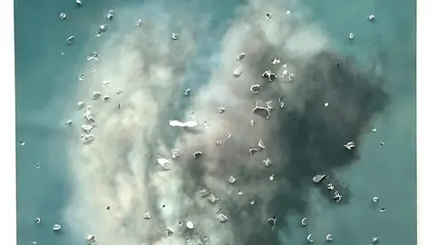 Obra de Bosco Caride.