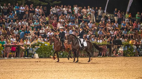 feira-cavalo-ponte-de-lima