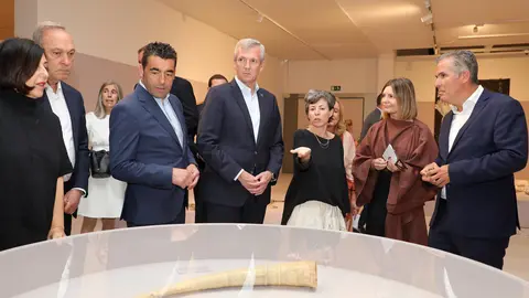 El presidente de la Diputación, acompañado del presidente de la Xunta, Alfonso Rueda; y el vicepresidente provincial, Rafa Domínguez; Inaugura la exposición "La era de las fábulas". RAFA ESTÉVEZ.