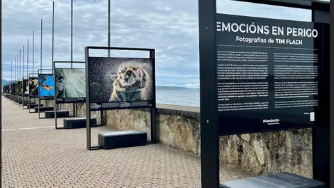 Emociones en peligro», una exposición que reúne 34 retratos que emocionan, sorprenden y despiertan la empatía de quien las observa.