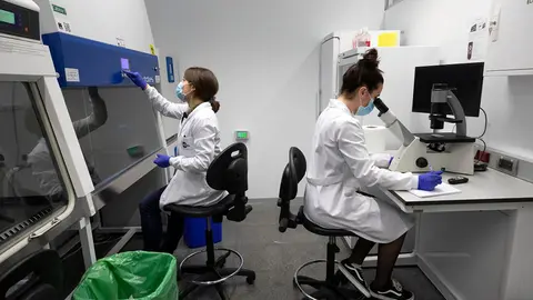 Educación apoya los equipos más competitivos del sistema del I+D+i gallego: 33 en la UVigo, 32 en la USC, 26 en la UDC y 21 en otros organismos.