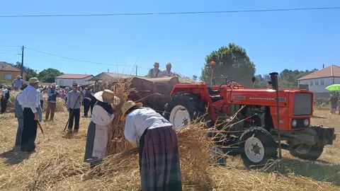 La malla se convierte en musa en una nueva exposición.