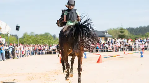 Caballos, diversión y tradiciónm en la Xuntanza Cabalar de Tui.