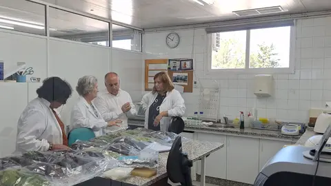 Mediante el uso de sensores y algoritmos, se pretende mejorar la gestión de los cultivos de kiwi, aumentando la productividad y la sostenibilidad del sector.