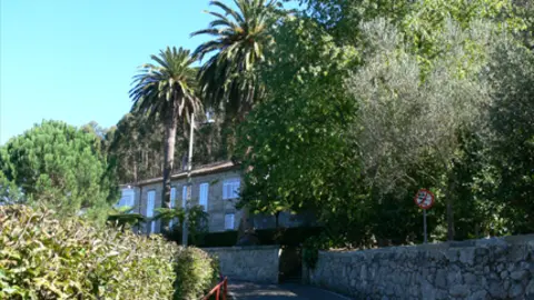 La Estación Fitopatolóxica Areeiro ya forma parte oficial da Ruta de la Camelia de Galicia.