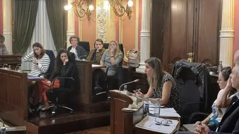 pleno ordinario Concello Ourense outubro (2)