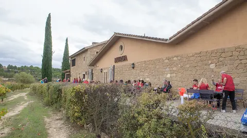 Bodegas Murua, ubicada en Elciego, Rioja Alavesa, pertenece al grupo vitivinícola Masaveu Bodegas