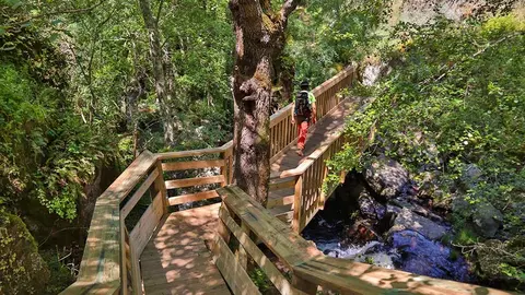 A PORTUGALNTN, com seu filme "We Are What We Feel", mais uma vez demonstra sua capacidade de promover o turismo de natureza de forma eficaz.