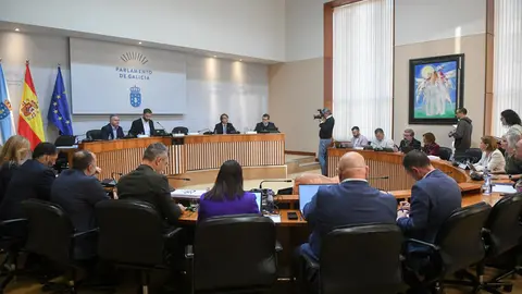 El conselleiro de Facenda e Administración Pública compareció hoy en la Comisión 3ª del Parlamento para explicar las cuentas de su departamento.