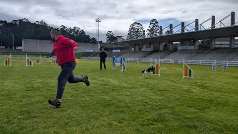 Perros y humanos ponen a prueba sus habilidades en el ring de agility.