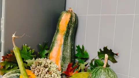 El Mercado de San Antonio acoge esta actividad este domingo e o próximo xoves 31.