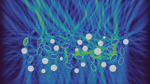 Imagen del fondo marino.