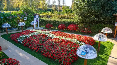 jardim_dinamarques_fij_2024_