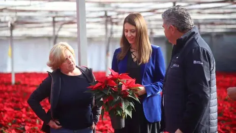 La conselleira María José Gómez visitó este mediodía Viveros Compostela.