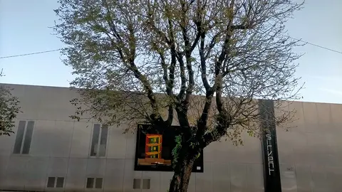 Sirvent en Vigo acoge la exposición exclusiva de la colección Poul Kjaerholm, presentada por Fritz Hansen, a partir del 21 de noviembre.