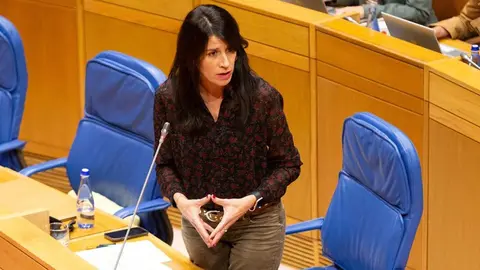 La conselleira de Vivenda e Planificación de Infraestruturas intervino hoy en el Parlamento.