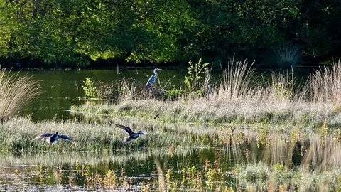 Lagoas de Bertiandos e S. Pedro d'Arcos. JOSÉ ANTUNES.