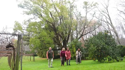 La conselleira de Medio Ambiente e Cambio Climático visitó hoy varios ejemplares en el Pazo de Lourizán, en Pontevedra, y en el de Rubiáns, en Vilagarcía de Arousa.