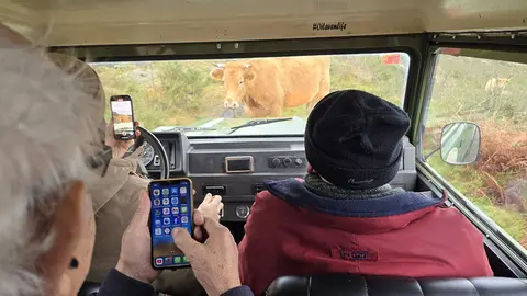 Se nos interponía una vaca en nuestro camino....