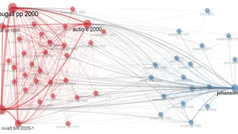 Se construyó la red de citas utilizando la función de estructura intelectual de la herramienta Bibliometrix. Se identificaron las dos subáreas con más resultados de investigación.