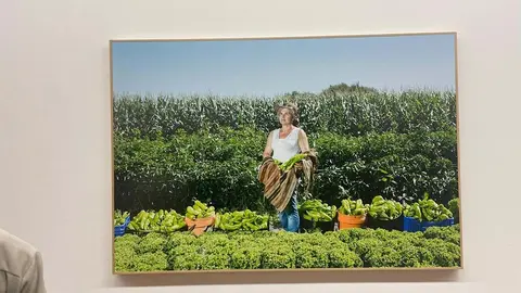 As mulleres rosaleiras, protagonistas da exposición de Mar Caldas no Centro Galego de Arte Contemporánea.