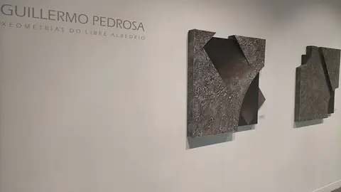 Obra de Guillermo Pedrosa.