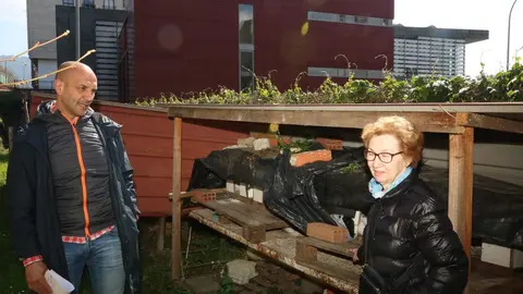 O Porriño implementa o método CES para protexer ás colonias felinas nas rúas.