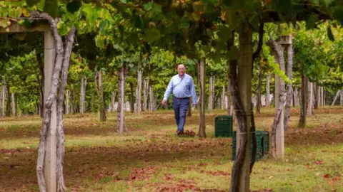 Carlos Moro con Viña Caeira, suma su séptima Denominación de Origen, un hito que refleja su pasión por explorar y potenciar el potencial de las mejores regiones vitivinícolas de España.
