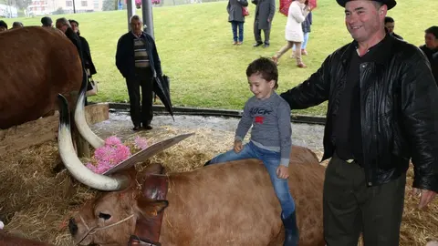Este evento, que simboliza el fin del ayuno de la Cuaresma, mostrará los mejores ejemplares bovinos de las carnicerías locales.