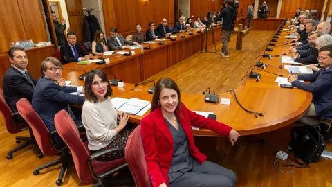 La conselleira de Economía e Industria, María Jesús Lorenzana, junto con los titulares de Facenda e Administración Pública, Miguel Corgos; del Medio Rural, María José Gómez; y del Mar, Alfonso Villares, se reunió hoy con los responsables de más de una veintena de clústeres, asociaciones sectoriales y con los consejos reguladores para abordar los efectos de la nueva política arancelaria de EE.UU.