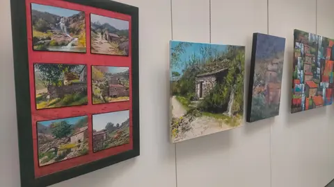 Un aspecto da exposición.