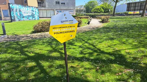 Esposende Ambiente estão a preservar espaços públicos da cidade com prado florido.