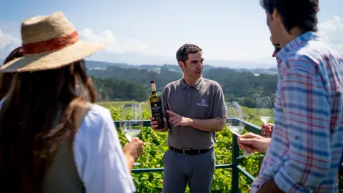 BODEGAS FILLABOA-ENOTURISMO