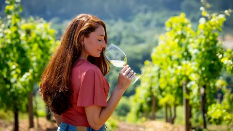 Entre viñedos centenarios de Fillaboa, en el corazón de las Rías Baixas, la magia del enoturismo gallego cobra vida.