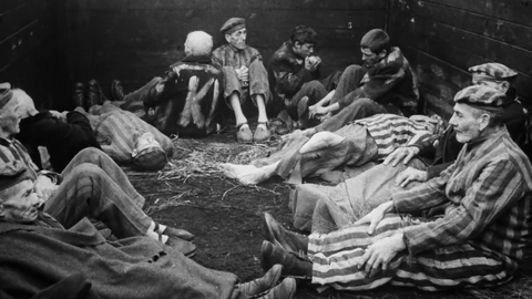 arte e a crueza da guerra danse cita no ciclo de cine que a Deputación de Pontevedra e Novos Cinemas presentan como preludio da Bienal, comezando esta semana cun filme sobre a supervivencia na Shoah.