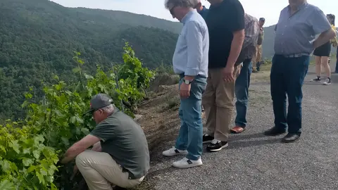 La Orden de los Cabaleiros de Vigo explora la Ribeira Sacra en una jornada de vino, historia y paisajes.
