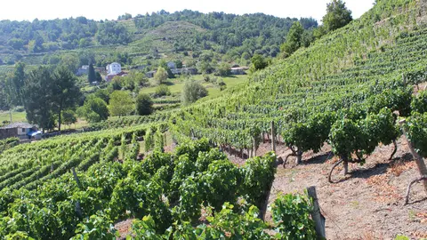 Fragmento del cartel.