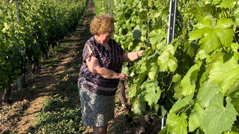 Elisa Collarte, Premio Vida entre Vides D.O. Ribeiro, un reconocimiento a su pasión y dedicación a la viticultura tradicional.
