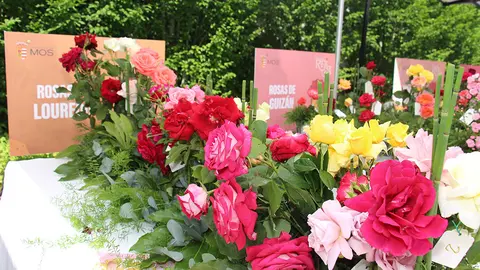 Concurso. 2023. ARCHIVO DL-G.