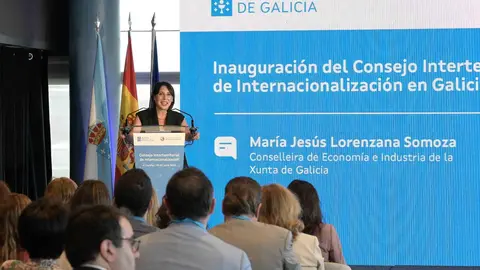 La conselleira de Economía e Industria, María Jesús Lorenzana, inauguró hoy el Consejo Interterritorial de Internacionalización.