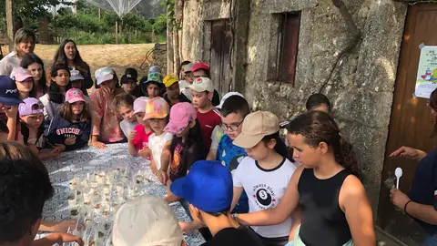 ciclo da fruta_fruta escolar (8)