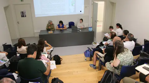 Visión general del auditorio durante la sesión pública, con los relatores preparados para presentar el programa de reordenamento da paisaxe.